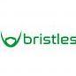 Bristles